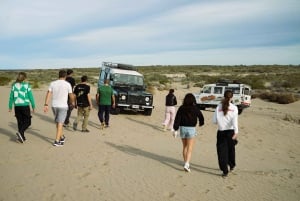 Day trip in an all-terrain vehicle: 4x4 adventure + lunch at a Patagonian ranch