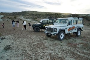 Day trip in an all-terrain vehicle: 4x4 adventure + lunch at a Patagonian ranch