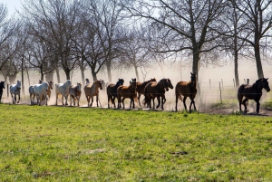 Dia Gaucho - Estancia tradizionale argentina alla periferia di Buenos Aires