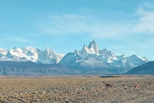 Discover El Chaltén: Hike to Condor Lookout & Falls
