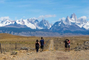 Discover El Chaltén: Hike to Condor Lookout & Falls