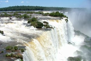 Private- Discover Brazilian and Argentine Falls in 2 days.
