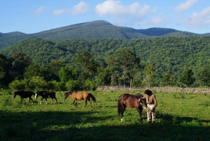Discover the jungle of Yungas : horseback riding with asado