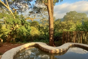 Discover the jungle of Yungas : horseback riding with asado