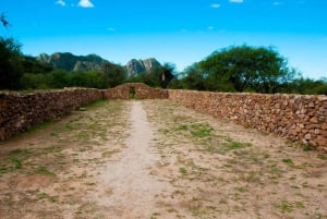 Ontdek de schatten van het noorden van Argentinië: Belén, Londen en Ciudad del Shincal