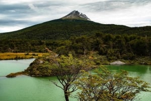 Tutustu Tierra del Fuegon kansallispuistoon