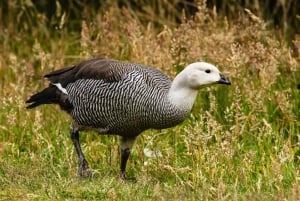 Ontdek het Nationaal Park Tierra del Fuego