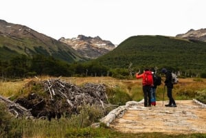 Upptäck nationalparken Tierra del Fuego