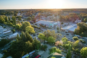 Dolavon: Kulturell vandring med innfødte og walisiske språk og avsluttende kompis