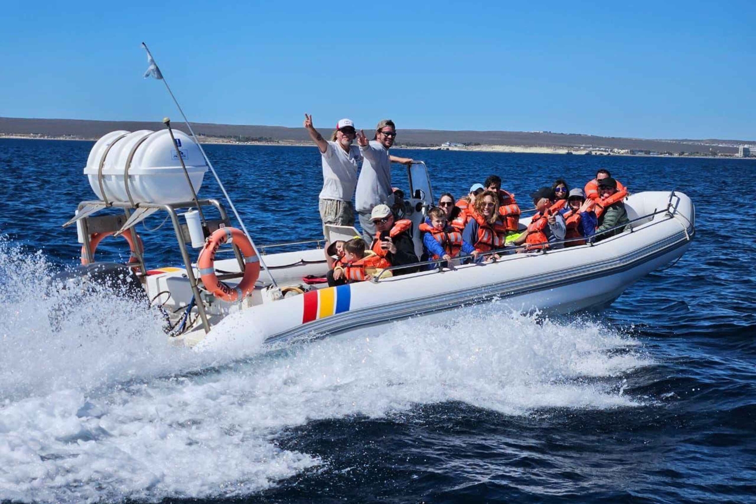 Abenteuer Delfinbeobachtung