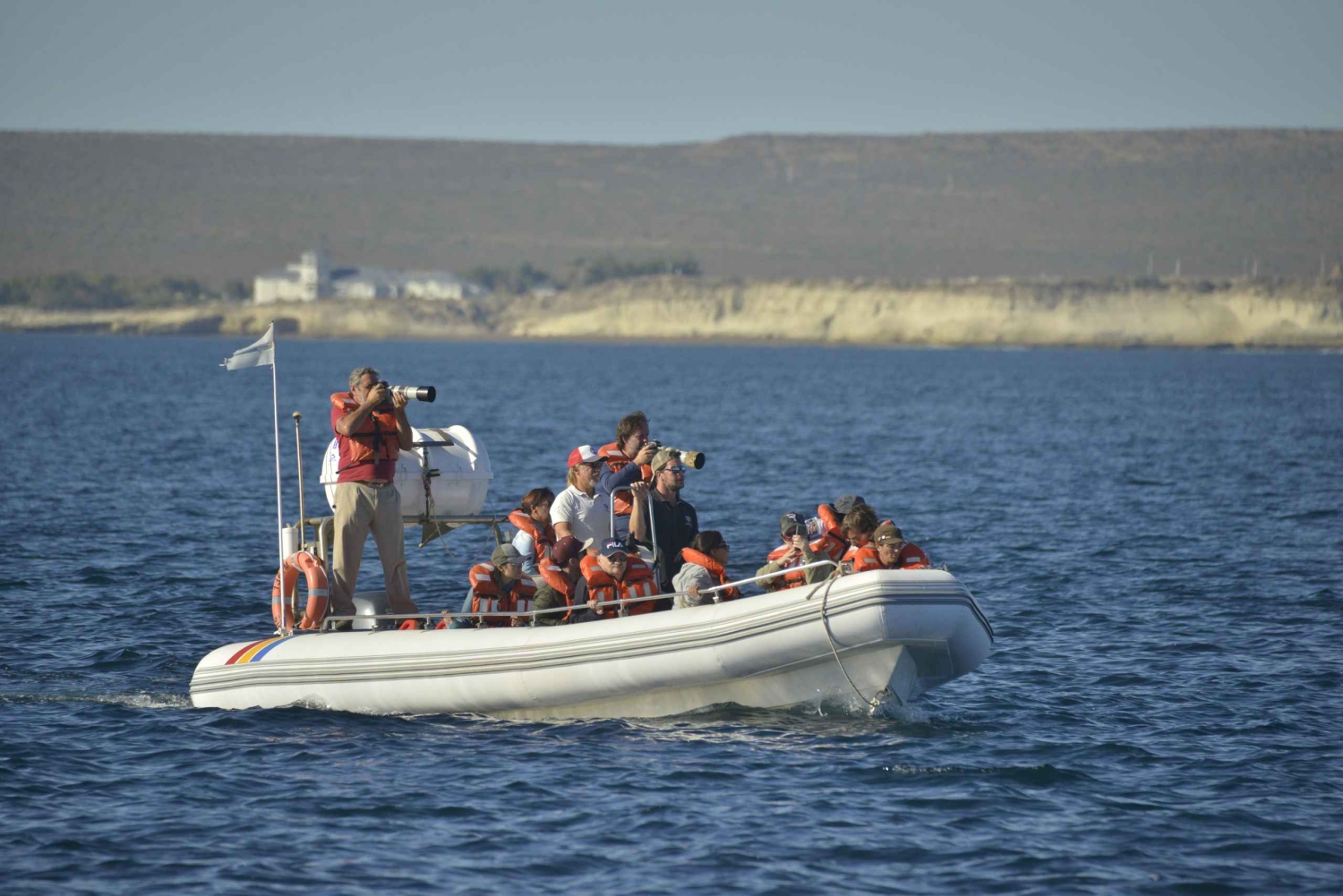Abenteuer Delfinbeobachtung
