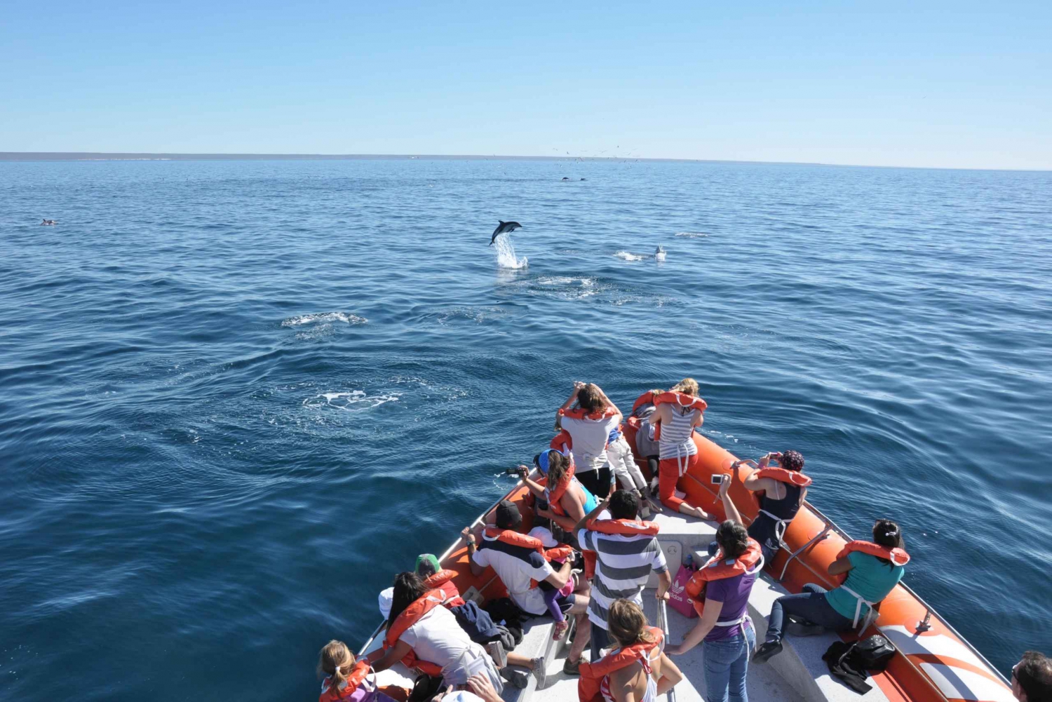 Delfinbeobachtung und Bootsfahrt in Puerto Madryn