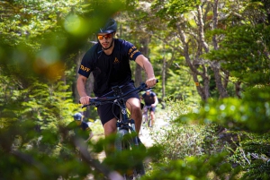 E-BIKE Beagle Viewpoint