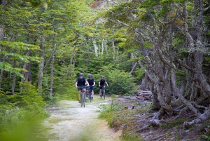 E-BIKE Beagle Viewpoint