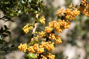 El Calafate: 2-Day Perito Moreno Glacier & All Glaciers