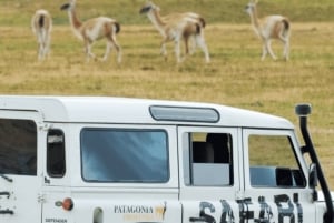 El Calafate: 2 päivää Perito Morenon jäätiköllä + nelivetoelämys