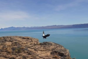 El Calafate: 4x4 Nativo-Erlebnis mit Mahlzeit und Abholung