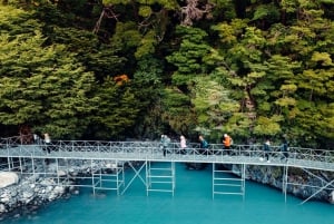 El Calafate: cruise til alle isbreer l Spegazzini og Upsala