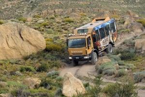 El Calafaten parvekkeet Kokemus: 4WD Tour: 3-tuntinen 4WD Tour