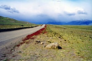 Stadstur i El Calafate och Walichu-grottorna