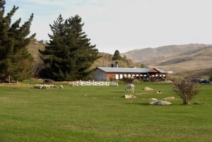 El Calafate: Estancia 25 de Mayo, cena y espectáculo con traslado