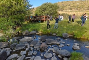 El Calafate: Estancia 25 de Mayo, cena y espectáculo con traslado