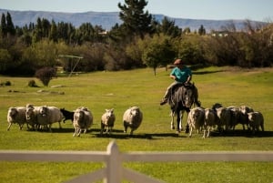 El Calafate: Estancia 25 de Mayo, cena y espectáculo con traslado