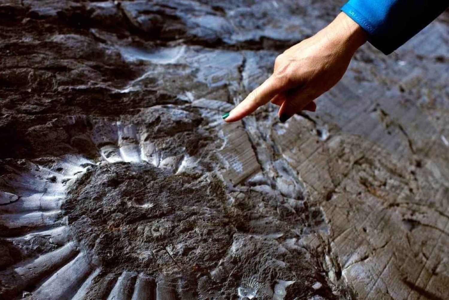 El Calafate : Trekking dans le canyon des fossiles à l'Estancia Cristina