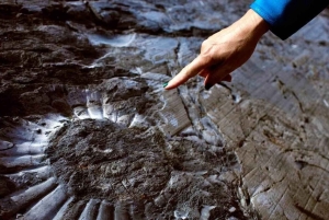 El Calafate : Trekking dans le canyon des fossiles à l'Estancia Cristina