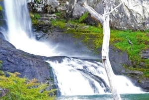 El Calafate: Full-Day Private Tour to El Chaltén and Chorrillo del Salto