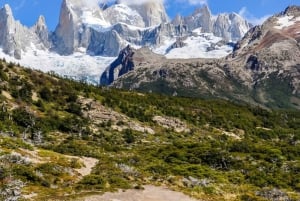 El Calafate: Full-Day Private Tour to El Chaltén and Chorrillo del Salto
