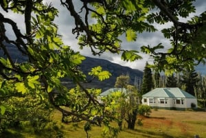 El Calafate: Gletsjerkrydstogt og trekking på Estancia Cristina