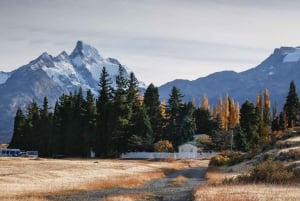 Эль-Калафате: круиз по леднику и треккинг в Estancia Cristina