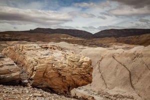 El Calafate: Kayak and Hike La Leona River Tour