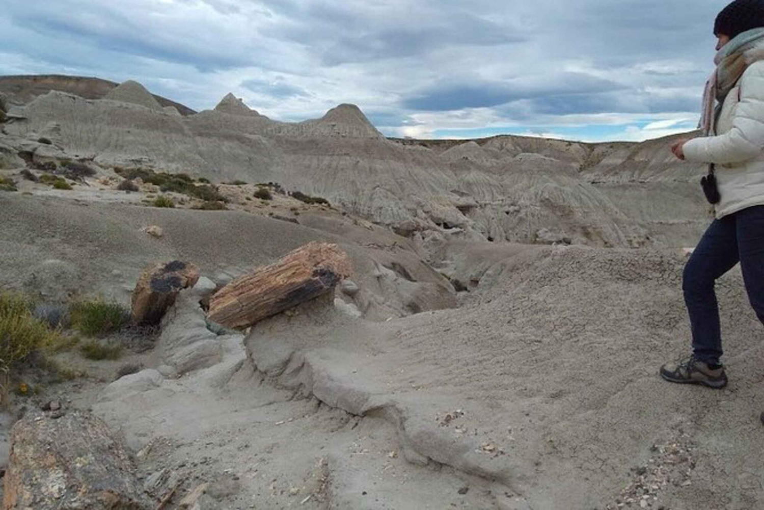 El Calafate: La Leona Petrified Forest Day Trip