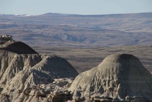 El Calafate: La Leona Petrified Forest Day Trip