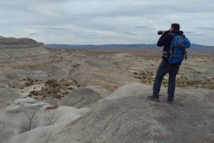 El Calafate: La Leona Petrified Forest Day Trip