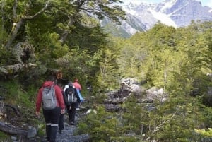 El Calafate: May Spirit Trek til Perito Moreno-breen