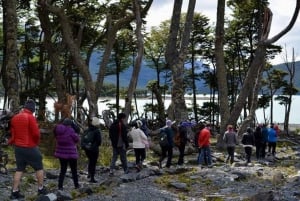 El Calafate: May Spirit Trek til Perito Moreno-breen