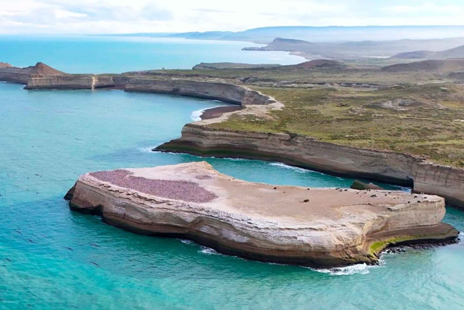El Calafate: Monte León 4x4 Lobos y Pingüinos Excursión