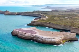 El Calafate: Monte León 4x4 Lobos y Pingüinos Excursión