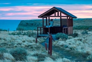El Calafate: Monte León 4x4 Lobos y Pingüinos Excursión