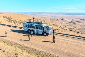 El Calafate: Monte León 4x4 Lobos y Pingüinos Excursión
