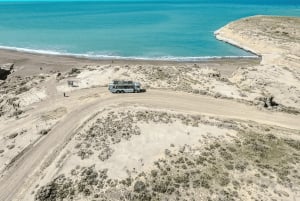 El Calafate: Monte León 4x4 Lobos y Pingüinos Excursión