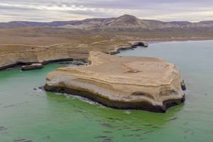 El Calafate: Monte León 4x4 Lobos y Pingüinos Excursión