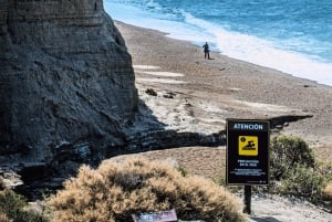 El Calafate: Monte León 4x4 Lobos y Pingüinos Excursión