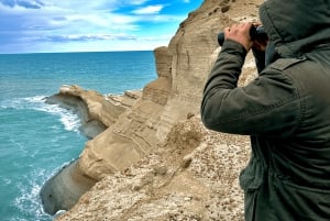 El Calafate: Monte León 4x4 Lobos y Pingüinos Excursión