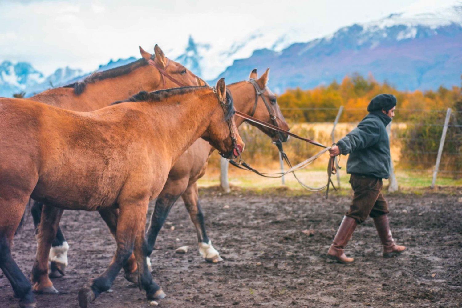 El Calafate: Nibepo Aike Ranch with Horseback Riding
