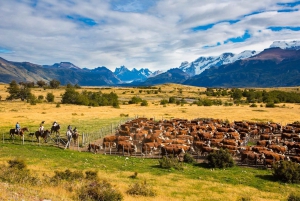 El Calafate: Nibepo Aike Ranch med ridning