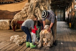 El Calafate: Rancho Nibepo Aike com passeios a cavalo